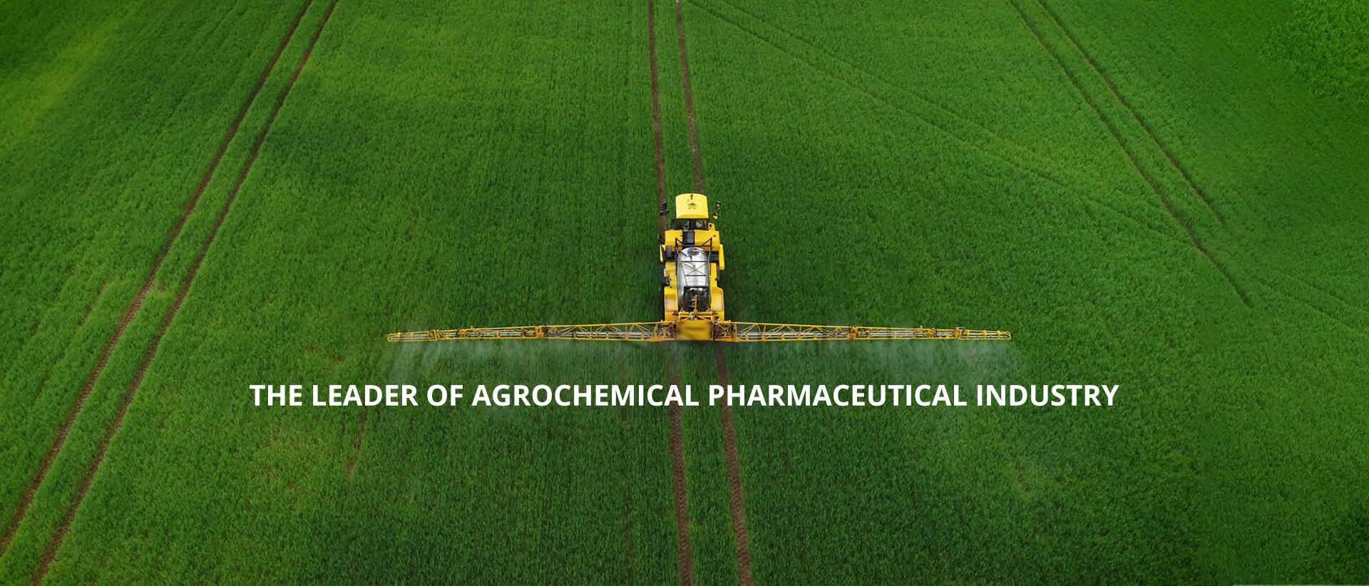 China Salicylic Acid agricultural industry suppliers-YuanfarChemical